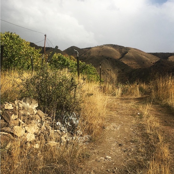 Meet your Posher, Kate - Picture 3 of 12